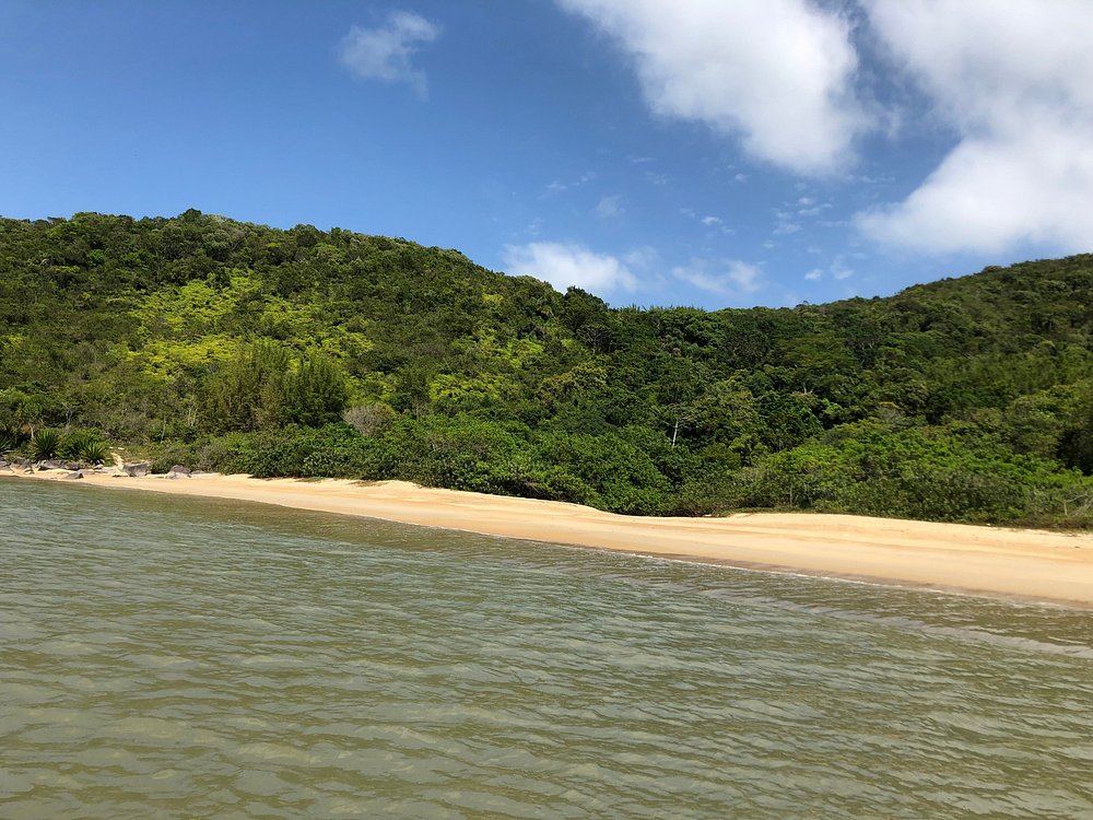 Praia do Cardoso